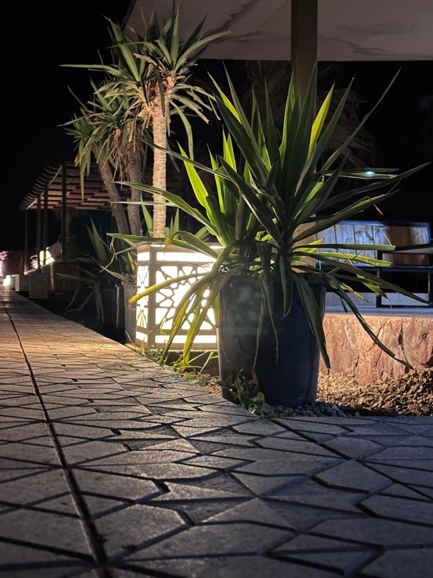 Rum Relaxation Luxury Camp Wadi Rum Exterior photo