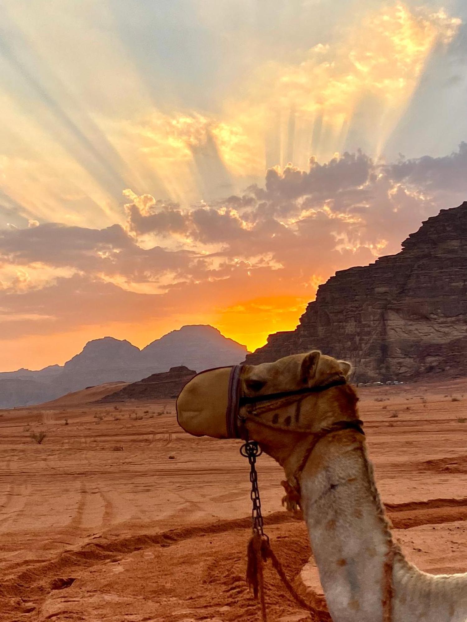 Rum Relaxation Luxury Camp Wadi Rum Exterior photo
